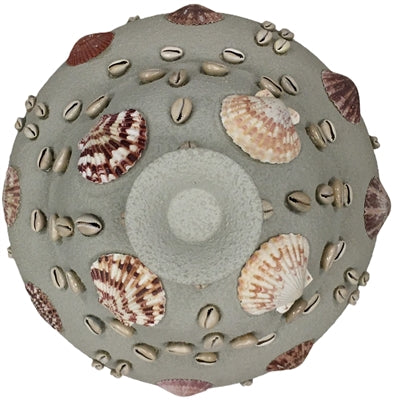 Tinaja con Caracoles (Pot with Seashells)17.5" Olokun