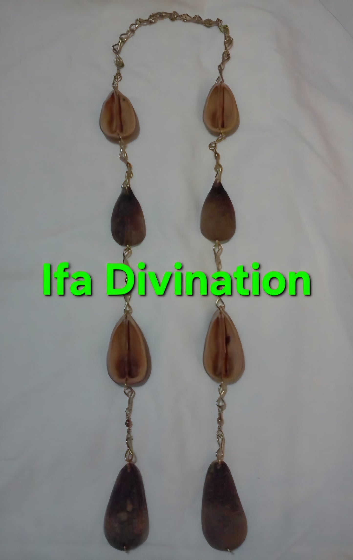 Ifa Consultation - 1 Hr